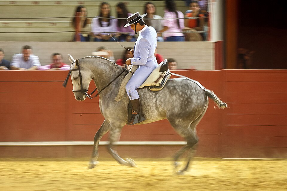 Caballo Estrella